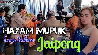 Download lagu 🔴ARADEA NADA || HAYAM MUPUK || Voc Teh Wawang || live Naluk mp3 Download lagu 🔴ARADEA NADA || HAYAM MUPUK || Voc Teh Wawang || live Naluk mp3