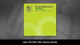 Anne Savage vs Vinylgroover & The Red Hed - Intoxicating Rhythm (Big Drum Dub)