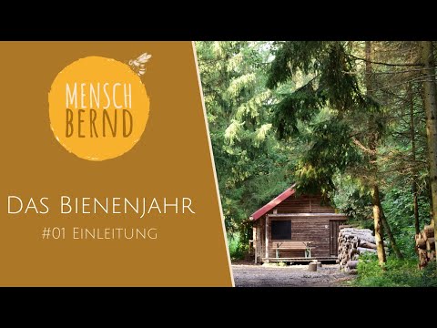 Das  Bienenjahr mit Bernd #1 Einleitung