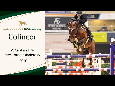 COLINCOR v. Captain Fire - Cornet Obolensky