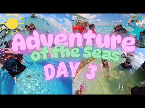 Adventure of the Seas Day 3 Vlog: Grand Cayman Stingray City Experience