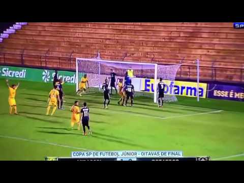 Confira os lances de Mirassol FC x Botafogo-RJ