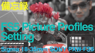 picture profile Setting 備忘録 PXW-FS5 with Sigma 18-35 Ufer! VLOG 110