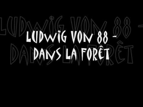 Ludwig Von 88 - Dans La Forêt - Lyrics - Paroles