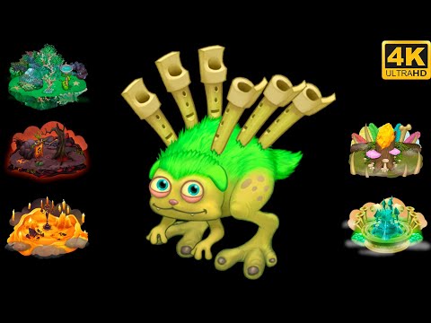 Reedling - All Islands (Sound and Animation) 4k