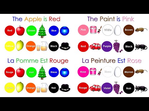 The Apple Is Red English/French Vs The Paint Is Pink English/French