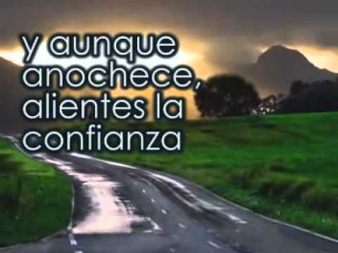 SI QUIERES TE ACOMPAÑO EN EL CAMINO