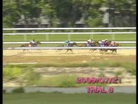 The Gangster Trial 21st July