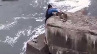 TOP 10 Auténticos Héroes Salvando Animales || TOP 10 VÍDEOS