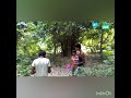 Jungle Me Sher Bago Me Mor