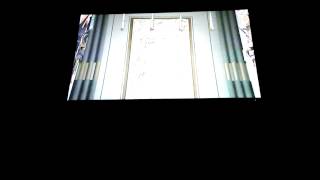 Victim Of The System / Impellitteri