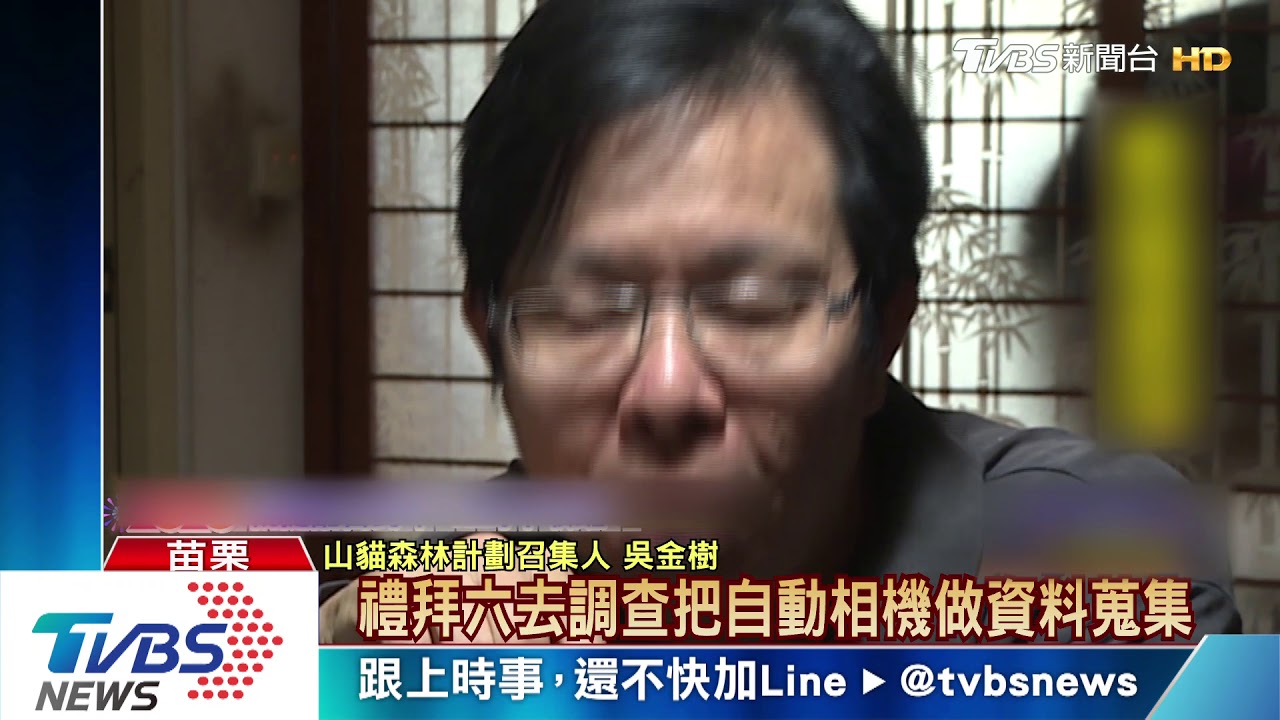 心痛！保育林地拍下石虎　也拍到獵人身影