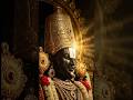 Om Namo Venkatesaya Om Namo Srinivasa ️ Shorts Viralvideo Tirumala Tirupati Devotional