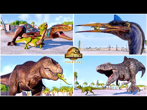 Homalocephale Hunting Animations of All Dinosaurs & Flying Reptiles 🦖 Jurassic World Evolution 2