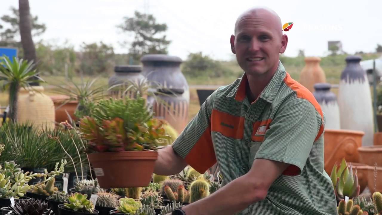 Company video PLANTLAND MENLYN GARDEN CENTRE