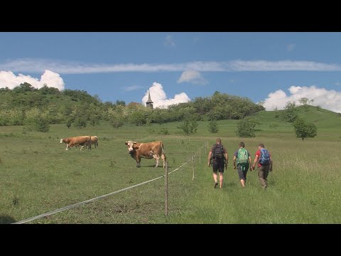 Keresztúrszék – Küküllő menti dombok között