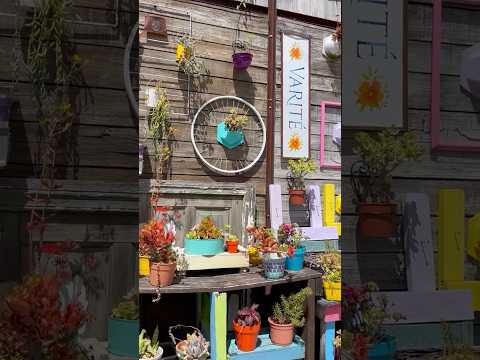 Zárate, Buenos Aires #travel #turismo #rioparana #buenosaires #argentina