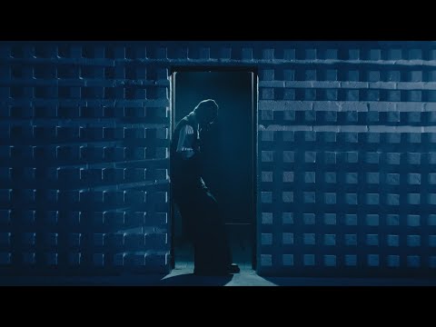 D. Savage - Like Me (Official Video)