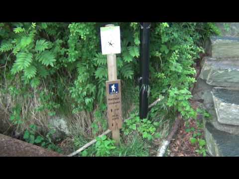 Norvēģija.Andalsne.1.diena.2016.07. 18