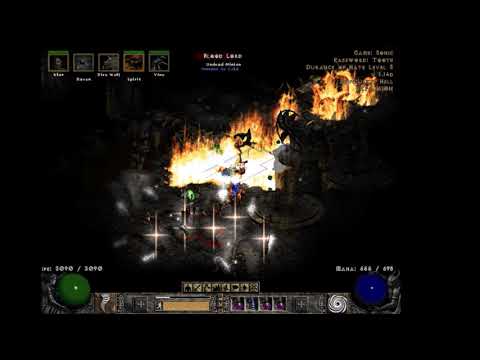 Diablo 2 LoD: elemental druid and his pets