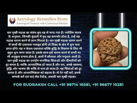 4 Mukhi (Four Faced) Rudraksha Bead - Natural Brown Nepali Rudraksh With Certification - View #7