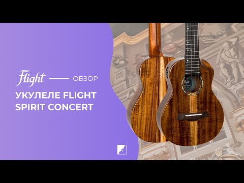 Обзор укулеле FLIGHT Spirit Concert