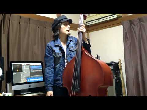 TWENTY FLIGHT ROCK / EDDIE COCHRAN【DOUBLEBASS COVER】
