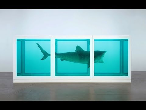 LAS 8 COSAS MAS CARAS DEL MUNDO #3