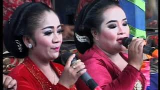Download lagu cs ngudi roso mp3