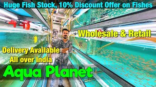 Huge Fish Stock at Aqua Planet I 10% Discount Offer | Wholesale & Retail I Delivery All Over India