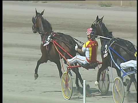 Trotto 08/06/2017 - 2ª corsa