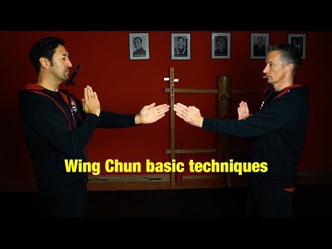 Best Wing Chun basic techniques (for beginner)