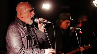 The Black Sorrows - The Chosen Ones Live in Berlin 2018
