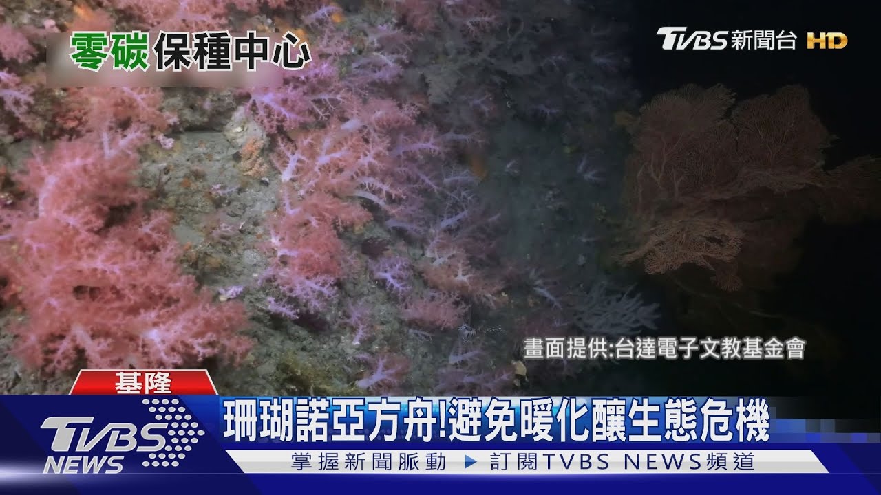珊瑚諾亞方舟!全台首座保種中心救生態