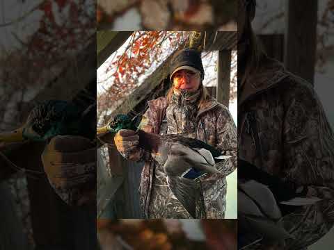 Beretta A400 Xtreme Plus One Year Review