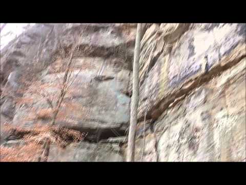 Steven Edwards - Dreaming of Lions (Test)