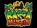 Mix RAGGA à L Ancienne Old Ragga 80 90 By DJ Phemix