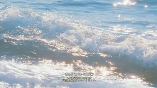 스웨덴세탁소(Sweden Laundry) '파도' Lyric Video