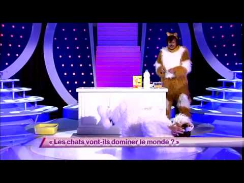 Ben & Arnaud Tsamere [7] Les chats vont-ils dominer le monde ? #ONDAR