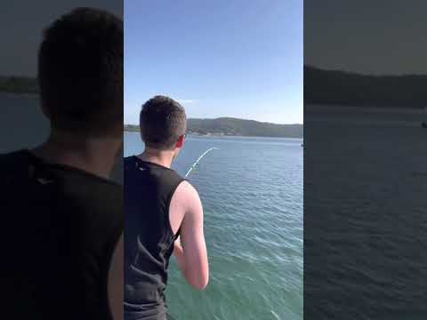 My son Catching a 1 metre flatty in the central coast,