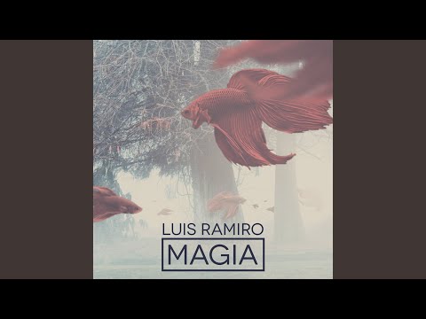 Poemas En El Tejado video