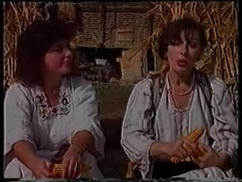 Buka e Kosoves -  A pe nisim luften