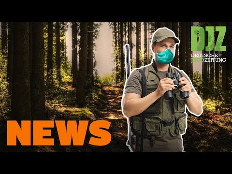 Jagd in Brandenburg erlaubt, ASP rückt näher, Wildgehege-Einbruch in Österreich - DJZ-News 13/2020