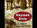 Hayseed Dixie - Have a Drink on Me