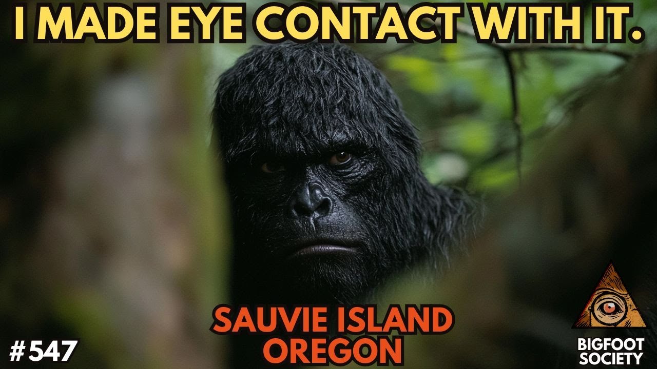 We found Sasquatch on Sauvie Island!