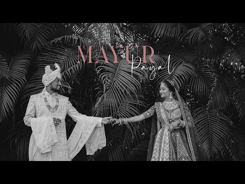 Wedding Teaser | Mayur + Payal | Surat | Wedding | #Cineshutter