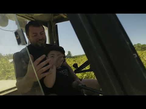 Curtis Winery