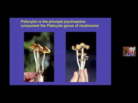 Psychedelics: Bridges between Neuroscience, Consciousness and Mental Health