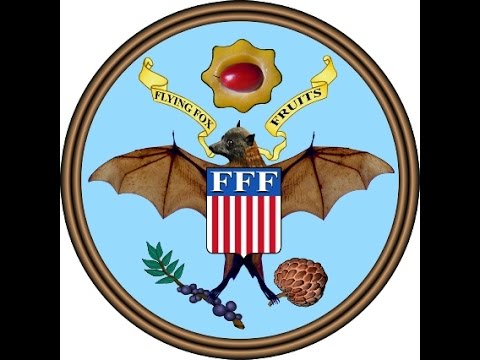 How to Graft Annonas (Atemoya, Cherimoya, illama, Sugar Apple)