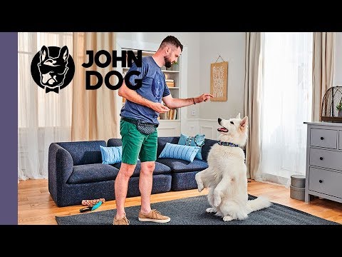 Sztuczka „poproś” – TRENING – John Dog